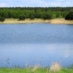 4 najlepsze kąpieliska i miejsca nad wodą w okolicach Krakowa